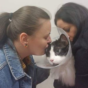 Meet your Posher, Ariel